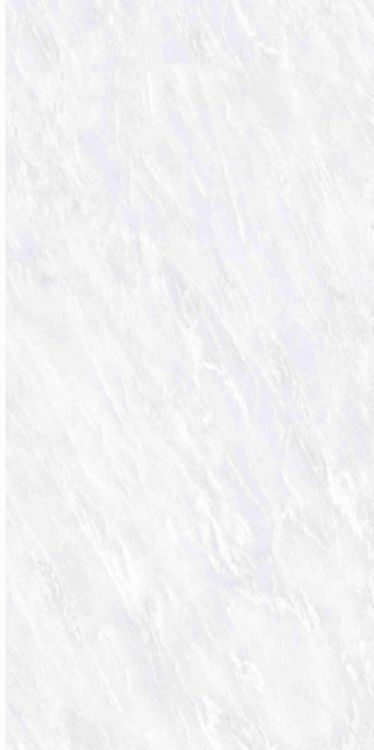 OL Vivid White Matte 12 x 24